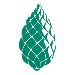 Vertaistuki lapsensa menettäneille: KÄPY ry. Järjestö on mukana Surevan kohtaaminen -hankkeessa.