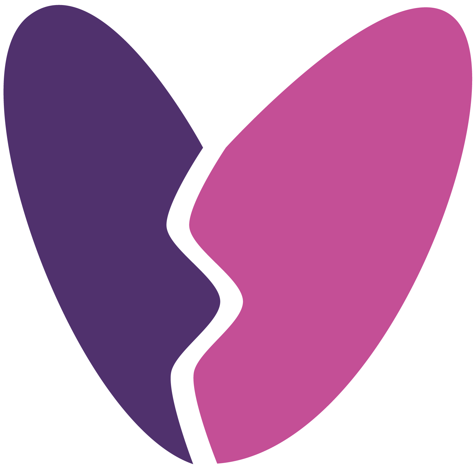 Suomen nuoret lesket ry:n logo