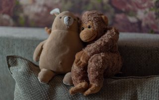 Kaksi pehmolelua vierekkäin