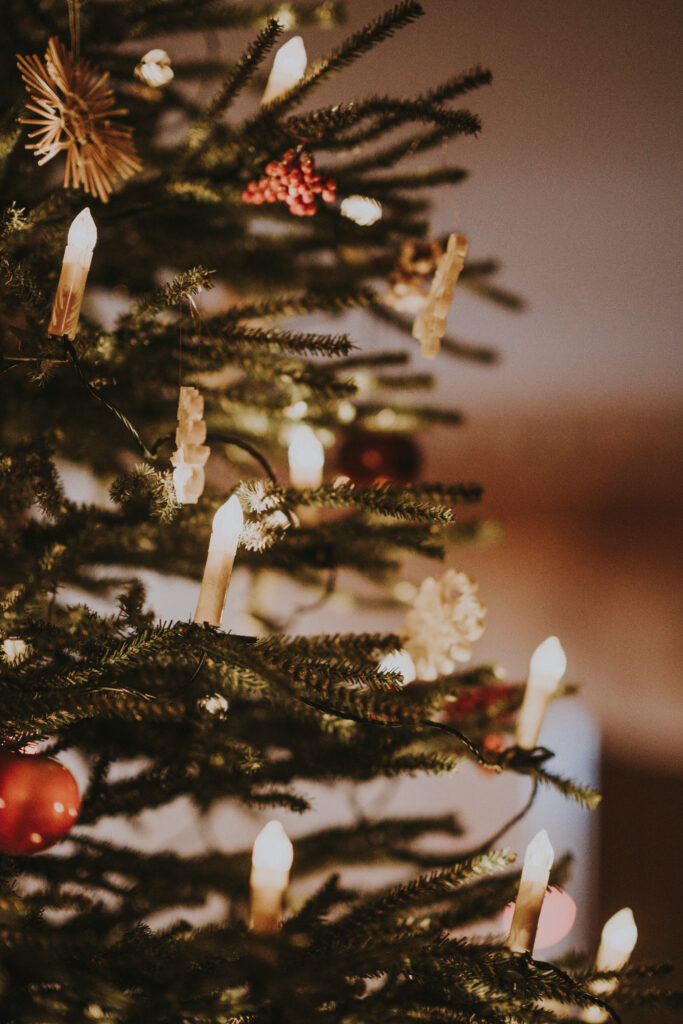 Kuva: Unsplash Annie Sprat