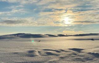 Aurinkoinen talvipäivä