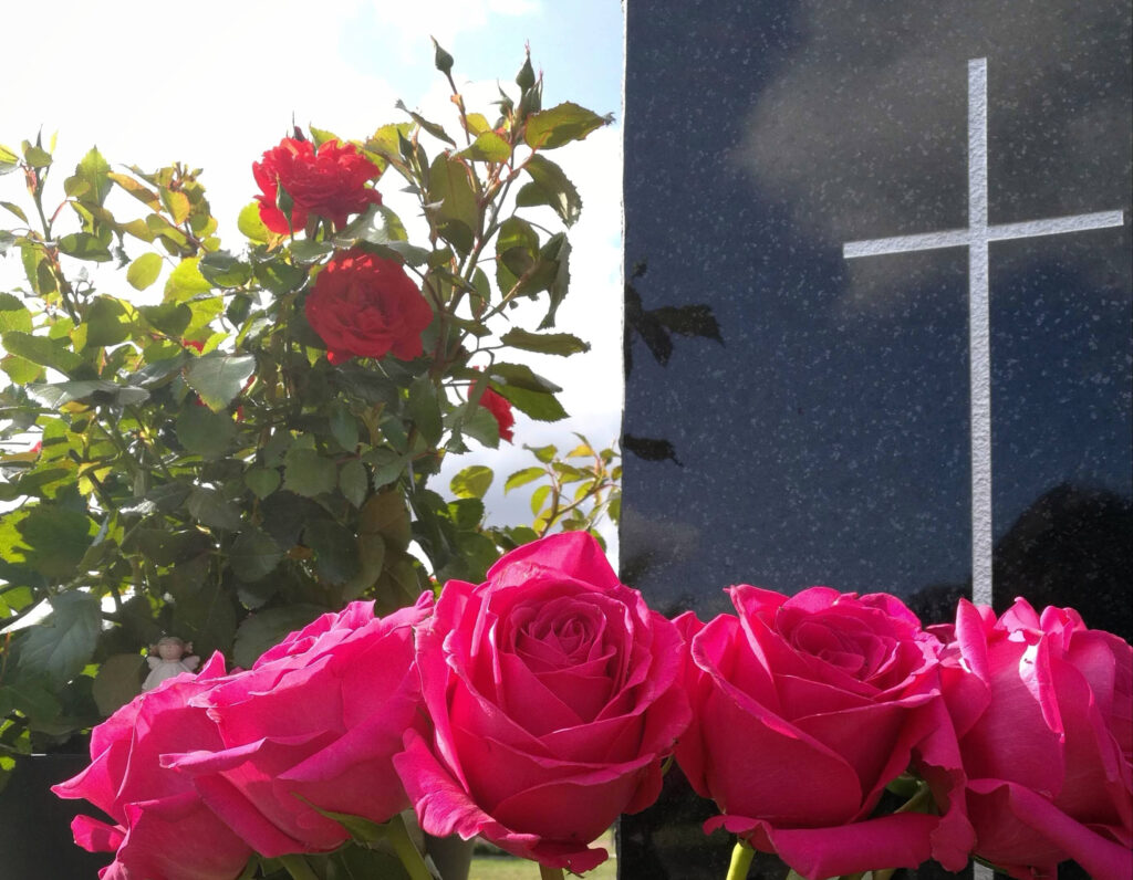 Kuvassa hautakivi, jonka edessä pinkkejä ruusuja