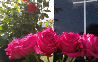 Hautakivi, jonka edessä pinkit ruusut