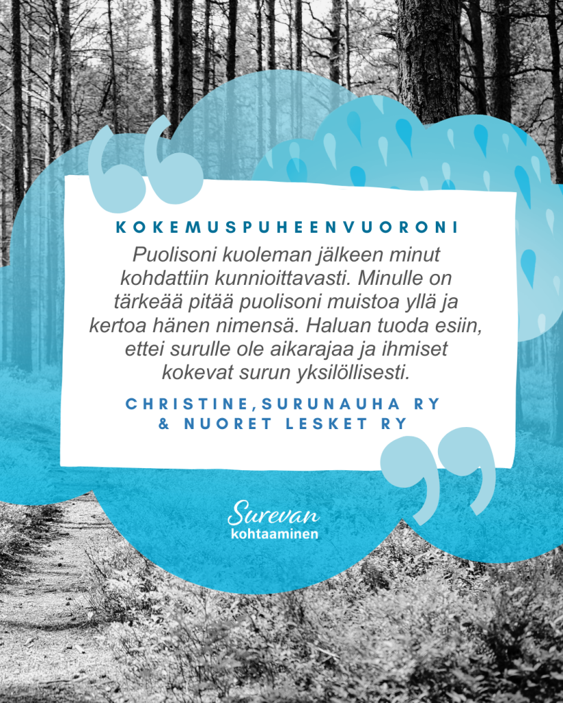 Kokemuspuheenvuoroni 